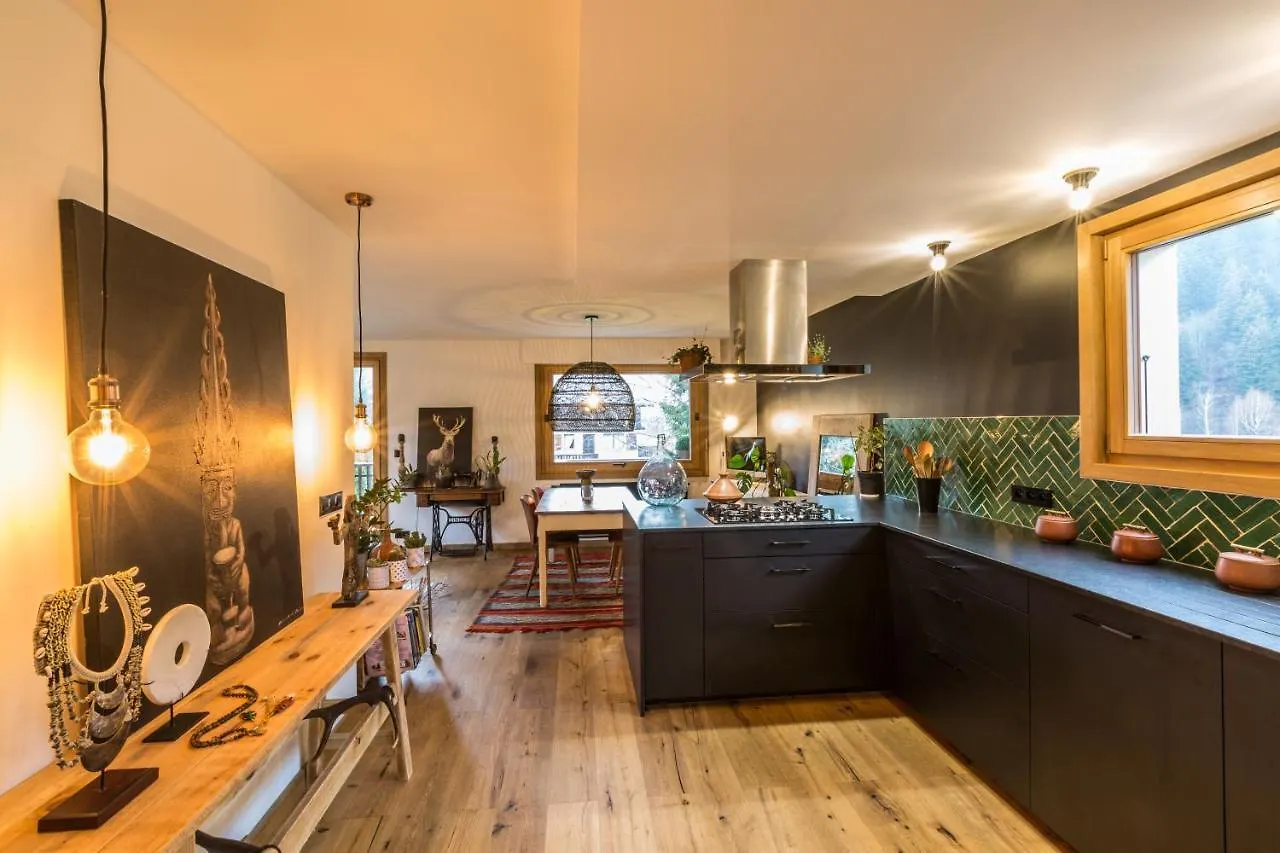 Appartement Native Chamonix France